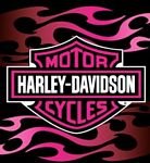 pic for flamin harley pink